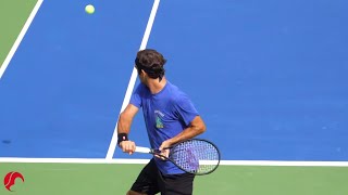 Roger Federer Backhand Slow Motion 2019  Court Level View Tennis One Handed Backhand Technique [upl. by Irene]