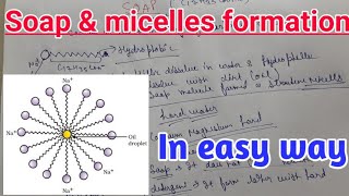 Soap and micelles formation in easy way with brief [upl. by Nnahoj374]