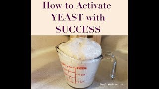 How to Activate Yeast with Success [upl. by Lainad807]