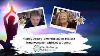 Audrey Dooley Emerald Equine Holistic speak about BioEnergy Therapy with Dee OConnor [upl. by Zilvia93]