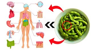 Benefits of Eating Edamame Beans [upl. by Doralin]