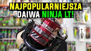 Kołowrotki Daiwa Ninja LT  najpopularniejsze kołowrotki spinningowe  BigRiverpl [upl. by Aleuqahs]