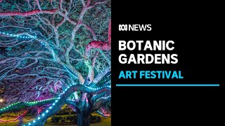 Outdoor public art festival adds light and art to natural wonders in Brisbane botanic gardens [upl. by Airahcaz]