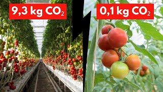 Klimafreundliche Ernährung – 6 einfache Tipps [upl. by Auhso]