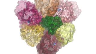 stalk rotation of Vtype ATPase [upl. by Eoz350]