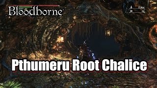 Bloodborne Pthumeru Root Chalice All Layer l Chalice Dungeon [upl. by Paulita538]