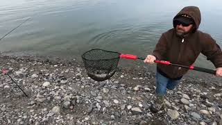 Trout Fishing Lake Roosevelt [upl. by Lammaj]