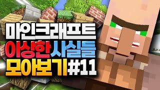 마인크래프트 이상한 사실들 모아보기 11 Minecraft [upl. by Aihsekyw]