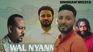 Sinishaw muleta WAL NYAANNAREE new music vedio 2024 [upl. by Notsag]