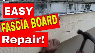 ROOF FASCIA BOARD  How to Repair or Replace Rotten Wood in a Few Easy Steps [upl. by Straub]