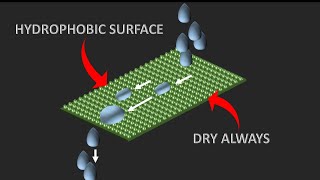 Science behind Hydrophobic technologies  The lotus effect [upl. by Krebs]