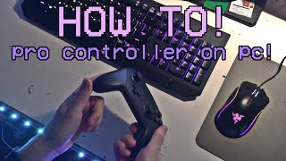 How To PROPERLY Setup The Nintendo Switch Pro Controller on PC [upl. by Seuqramed]