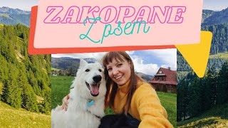 ZAKOPANE Z PSEM [upl. by Fredia873]