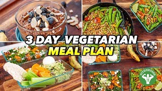 3 Day Vegetarian Meal Plan [upl. by Cas747]