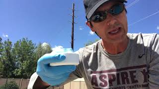 How to Remove Black Algae at Your Pool’s Waterline [upl. by Kcirdnekel]