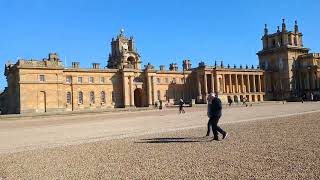 palais de Blenheim [upl. by Orvas]