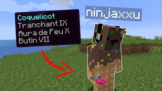 Minecraft mais quand je marche mon stuff senchante [upl. by Derej]