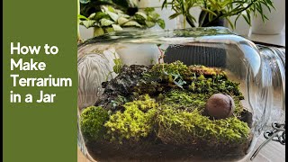 How to Make Closed Terrarium in a Glass Jar  Mini ecosystem [upl. by Hedvige]