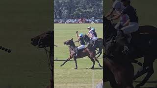 PoloCambiaso x 2 Adolfo y Poroto La Dolfinapolo caballos palermo [upl. by Etnaid]