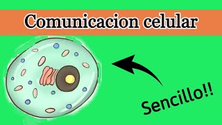 Generalidades Mecanismos de señalización celular✅✅ [upl. by Annel]