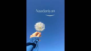 Nadaaniyan Akshath newsong shortcover nadaaniyaan viralsong [upl. by Nyleikcaj]