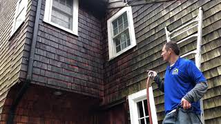 cleaning cedar siding with oxiclean without a pressure washer [upl. by Pendergast]