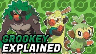 GROOKEY POKEMON EXPLAINED Grass Pokemon Starter Pokemon Pokemon Grookey [upl. by Hearsh]