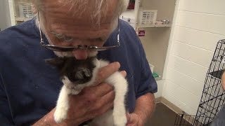 ANGRY GRANDPA LOVES ANIMALS [upl. by Rucker]