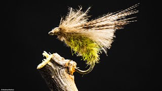 Fly Tying for beginners  CDC Caddis Emerger Dry Fly [upl. by Eirised]