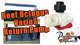 Tank Series  Reef Octopus VarioS 6 Return Pump [upl. by Antsirhc]