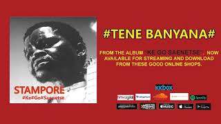 TENE BANYANA  STAMPORE OFFICIAL AUDIO [upl. by Berky]