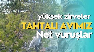 YÜKSEK ZİRVELERDE TAHTALI AVIMIZ NET VURUŞLU YÜKSEK GEÇİŞLİ GRUP TAHTALI AVIMIZ [upl. by Natsyrt]