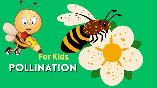 Pollination For Kids  What Is Pollination   Are Wasps Pollinators   Pollination Agents [upl. by Hali]