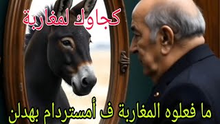 واقعة أمستردام فظحت تبون وادعاءاته الكاذبة كشكول ضحك [upl. by Milli]