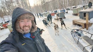 My Incredible Dog Sledding Experience In ALASKA  Mushing Thru The Snow Of Willow  Home Of Iditarod [upl. by Nemracledairam]