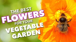 The Best Flowers To Boost Vegetable Gardens 🌺🐝 [upl. by Kylander]