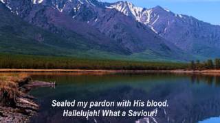 Hallelujah What A Saviour Man of Sorrows What A Name [upl. by Rorie]