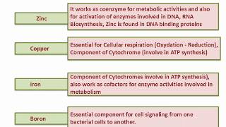 Nutritional Requirements of Bacterial Cell [upl. by Fretwell689]