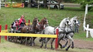 32e Concours dAttelage International 26 mn Maraton 2016 [upl. by Holds]