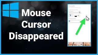 How To Fix Mouse Cursor Disappeared On Windows 10 [upl. by Nivets142]