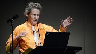 Temple Grandin quotThe Autistic Brainquot [upl. by Ailegna]