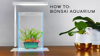 Is it this easy to make bonsai for the Aquarium shorts [upl. by Yeslek]