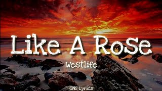 A1  Like A Rose Lyrics [upl. by Valencia]