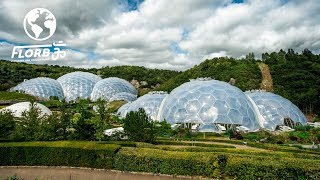 They Built a Rainforest Ecosystem inside a Geodesic Dome [upl. by Amsirak25]