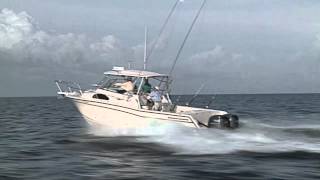 GradyWhite MARLIN 300  30 Walkaround Cabin [upl. by Caraviello]