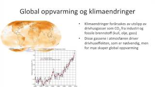 Samfunnsfag  Økonomisk vekst og bærekraftig utvikling [upl. by Hermie]