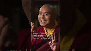 Experience in Meditation with Mingyur Rinpoche [upl. by Salema783]