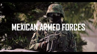 Mexican Armed Forces 2018 [upl. by Ruskin]