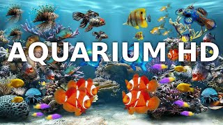 Entspannungsmusik Aquarium  Unterwasserwelt Musik zum Einschlafen und Meditieren  3h Full HD [upl. by Morse743]