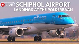 Live  SCHIPHOL AIRPORT  LANDINGS [upl. by Demitria]